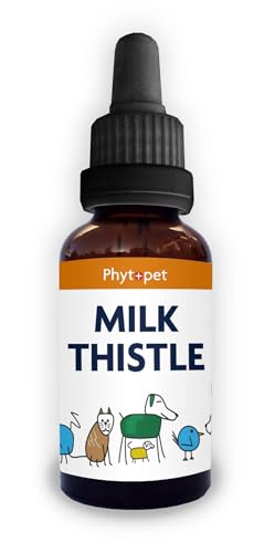Phytopet Milk Thistle Tincture | 100ml | Liver & Gallbladder Support | Silymarin Enriched | Detox & Cell Growth