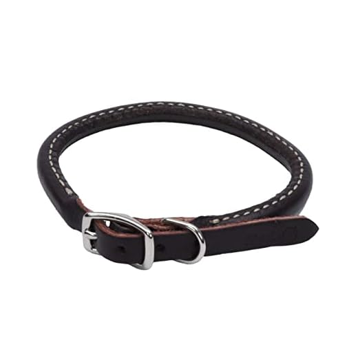 Coastal Pet Circle T Latigo Leather Round Dog Collar - for Small or Large Dogs - 3/8" x 18"