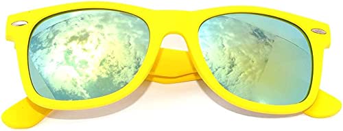 Image of OWL Retro Style Sunglasses 80's Classic Vintage Unisex Nerd Colored Frame