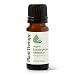 Plant Therapy Eucalyptus Globulus Organic Essential Oils 100% Pure, USDA Certified Organic, Undiluted, Natural Aromatherapy, Therapeutic Grade 10 mL (1/3 oz)