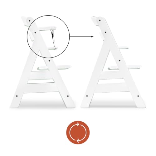 hauck Kinder Hochstuhl Alpha+, Mitwachsend ab 6 Monate, Buchenholz, Stabil & Sicher bis 90 kg, Inklusive 5-Punkt-Gurt… – Ansicht 6