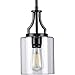 Lassiter Collection 1-Light Clear Glass Modern Pendant Light Matte Black