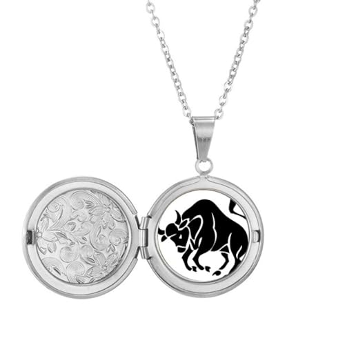 Médaillon constellation Taureau pendentif zodiaque porte photo