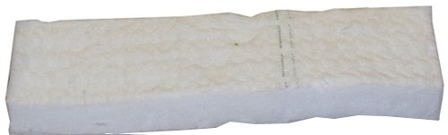 Hekers 2 x Spugna di Ceramica Camino bioetanolo biocaminetto