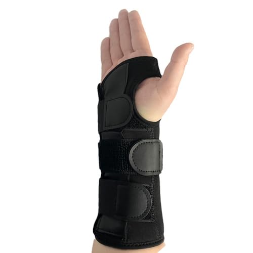  T|[^[ Œ X|[c y 3DbV Ȃ jp Ǝ 玙 p\R/X}z 퐶 Ep