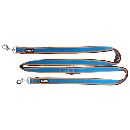 Laisse de dressage double CAIRD 2m réglable en nylon robuste