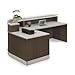 NBF Modern Reception Desk with Counter, Front Desk, Retail Checkout Counter, L Shaped, Office, Lobby, Salon, Store, Curved, 79