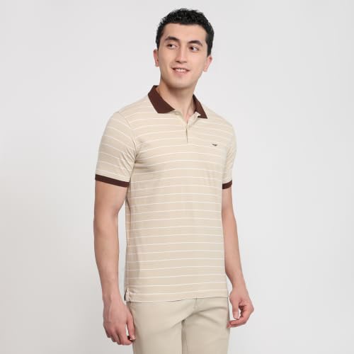 Image of Park Avenue Men Slim Fit Stripe Pattern Pure Cotton Polo Neck Half Sleeve Casual T-Shirt