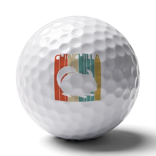 Vintage Style Chinchilla Practice Golf Ball Realistic Feel and Long Lasting Limited Training Balls Gifts for Men Women