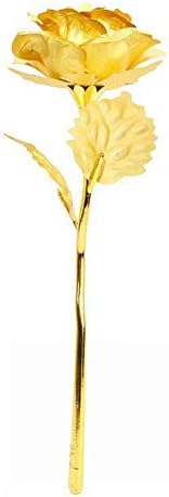 Cuihualili Gold Foil Rose Flower Artificial Fake Forever Rose Infinity Rose Mother's Day Birthday Gift for Women Girls