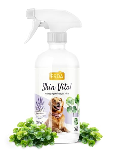 aloe vera gel hydration Aloe Vera Gelé | Organic Skin Hydration & Soothing Moisturizer main image 1