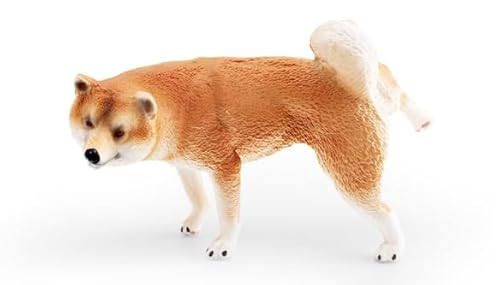 yDUXINGzVo ObY Č̒u  G CeA Č tBMA IuWF v[g (ČE)