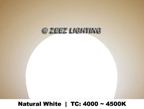 ZEEZ Lighting - LED A-Shaped A19 Light Bulb 7W Equivalent 60W Incandescent Lamp - Bright Natural White - — view 6