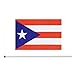 10 Pack Puerto Rico Puerto Ricans Flags on Stick 5x8 Inch,Patriotic Decorations,Classroom Decor,Small Mini Flags on Sticks,Flag Decorations for Party.