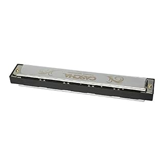 CASCHA Trémolo Harmonica Master Edition, 24 trous, do majeur, étui souple et chiffon de nettoyage inclus, Harmonica… - Les Beatles, Paul McCartney, John Lennon, RIngo Starr, George Harrison CASCHA Trémolo Harmonica Master Edition, 24 trous, do majeur, étui souple et chiffon de nettoyage inclus, Harmonica… – Image 6