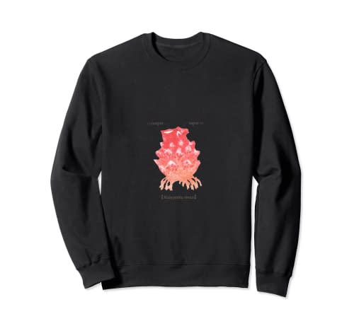 HOYA�@-Sea squirt- �g���[�i�[