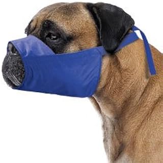 four flags dog muzzle