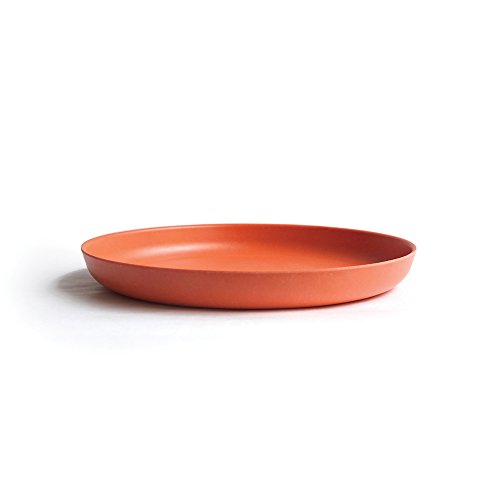 Preisvergleich Produktbild BIOBU Bambino Teller M Persimmon