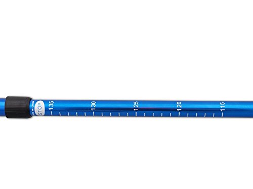Set da 2 pezzi per la camminata nordica, bastoni da trekking, lunghezza 65 – 135 cm, diversi colori, con sistema ammortizzante (blu)