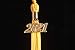 UIALECG Graduation Single Color Tassel with Gold Date Drop 2024