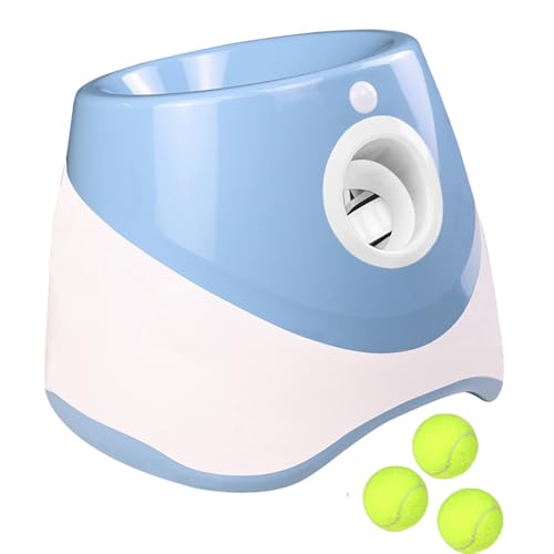 Guimeiren {[`[   ejX{[3t 3ނ̔ˋ @ ^`^p  Op  mߋ XgX ^sP {[(A)