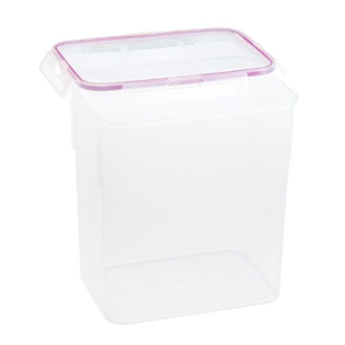 Snapware 885941851931 Airtight 23-Cup Rectangular Food Storage Container, Clear