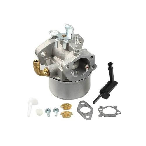 Carburateur 798653 Briggs 696981 698860 694508 pièce moteur tondeuse
