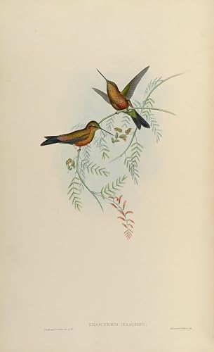 Tableau animal oiseau sur toile chic pour illuminer votre séjour