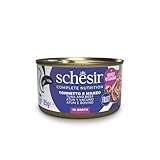 Schesir
