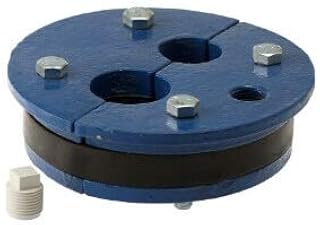 4" x 1-1/4" X 1" Cast Iron Well Seal (Double Hole)