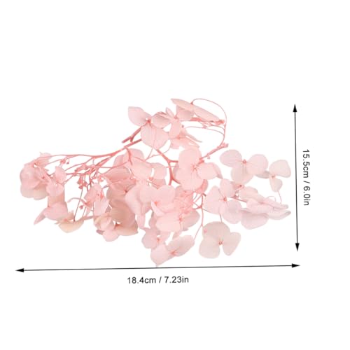 Cabilock 1Pack Pétalos de Hortensia Preservados para Manualidades miniatura 7