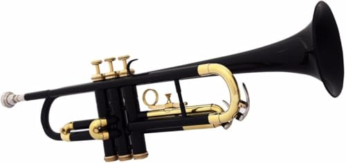 QUALITYTMUSICSHOP Trompeta Bb Pitch Latón Negro Con Caso, Boquilla Buen Instrumento Afinado Para...