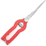 Ciseaux de jardin extra long, acier inoxydable Taille des ciseaux, Bonsai Plant Trimming Ciseaux pour les roses épineuses Plantes Fleurs Récolte des plantes Fruits ou légumes