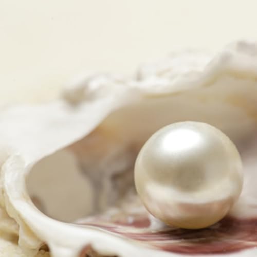 podcast 19 - A ostra e a p&eacute;rola