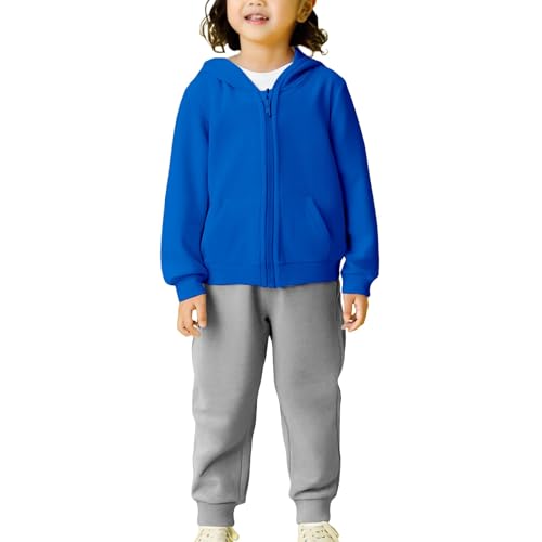 Conjunto de 2 piezas de sudadera con capucha y cremallera para niñas y niñas, de algodón suave, pantalones deportivos, informales, para adolescentes, sudaderas lisas con capucha, azul celeste, 7-8