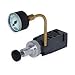 Numatics 152RS300O016W00 Mark 15 Regulator Assembly Single Pressure (P) 3-30 PSIG 1/4 Inch No Mounting w/Ftgs of TF Gauge