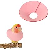 Pet Cockatiel Anti-Plucking Collar Wound Healing Collar for Budgie Grooming Collar Neck Bird Supply Finch Collar Parrot Collars for Feather Plucking Lovebird Collars to Stop Biting (M)