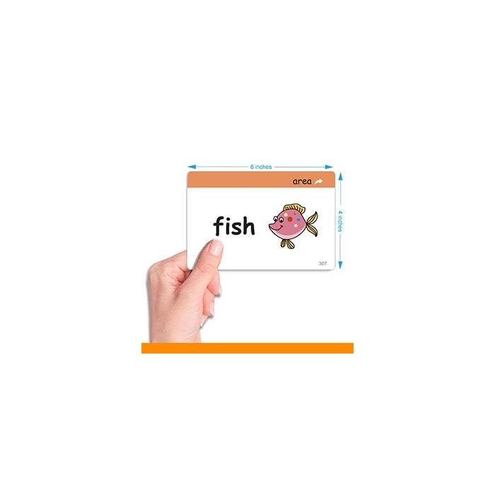 Buy Little Champion Reader 500 Picture Sight Word Flashcards Fry