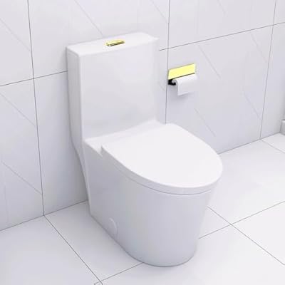 Aonlee Elongated One Piece Toilet White With Golden Button, Porcelain Skirted Design, Dual Flush 1.6/1.1 Gal, UF Soft-Close Elongated Seat Quick-Release, Easy Clean For Modern Bathroom