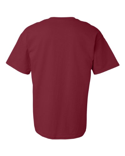 Image of Gildan Men's G500 T-Shirt