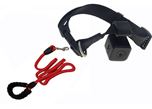 hoSecurity 1080P HD Pet Collar Camera Video Record Behavior Tracking with Collar and 32GB Memory Card