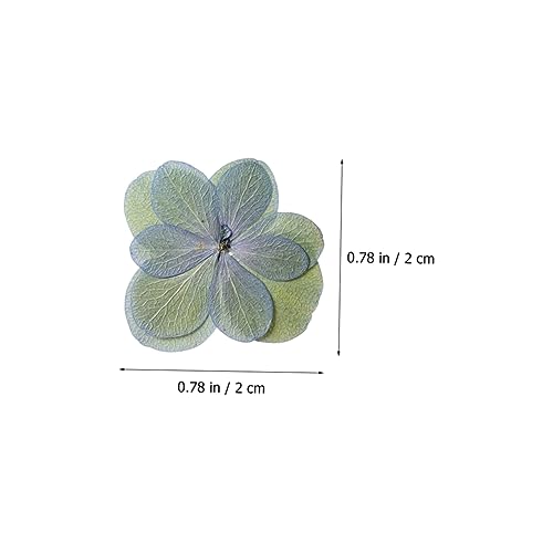 30 flores secas prensadas para manualidades DIY miniatura 2