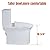 WinZo WZ5023 Tall One Piece Toilet Dual Flush With Comfortable Seat Height 18.75" ADA Compliance For Seniors Tall Disabled Person,12" rough-in, White
