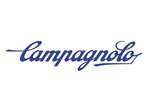 Campagnolo 12-Speed Chorus - Left Hand Lever Body with Master Cylinder
