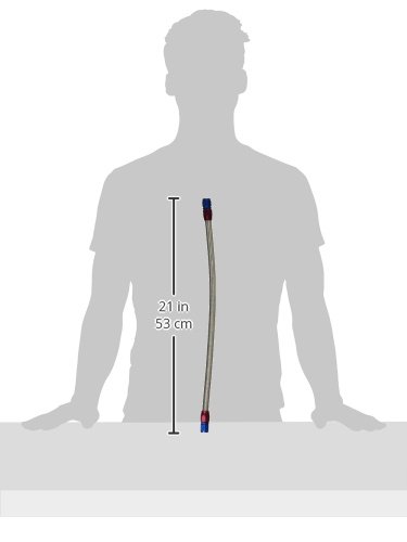 Amazon | EARL'S(アールズ) OILクーラーホースSET ラウンド #6 9