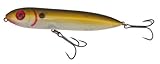 Heddon Rattle Spook Fishing Lures