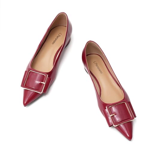 C.Paravano Women's Ballet Flats | Pointed Toe Flats | Slip On Dressy Shoes | Comfortable Shoes for Work Daily Wear