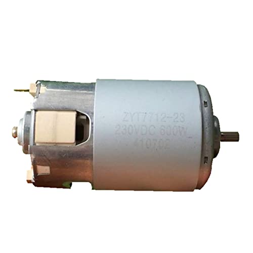 Moteur à courant continu RS-7712 pour machine à pâte de soja et laits végétaux