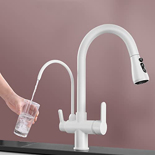 Robinet de cuisine pour purificateur d'eau blanc et design scandinave