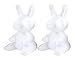 LIXBD Lot de 2 figurines en polystyrène en forme de lapin pour décoration de gâteau à faire soi-même, peinture de Pâques, arrangement floral, fête de mariage